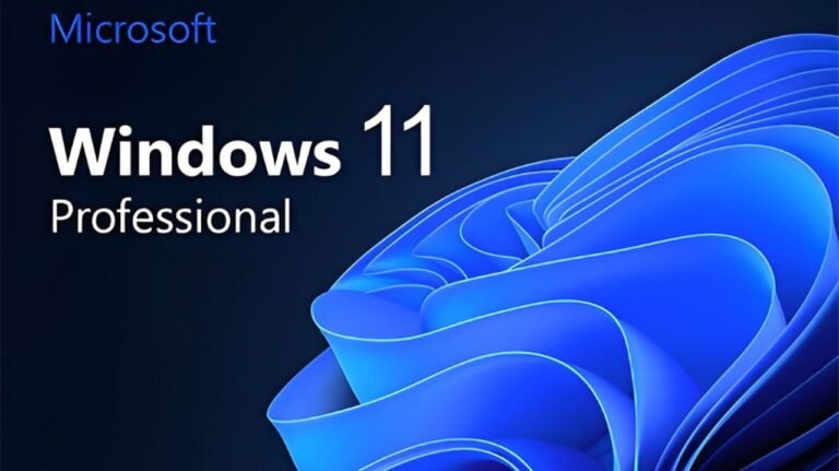 Windows 11 Professional | USoft